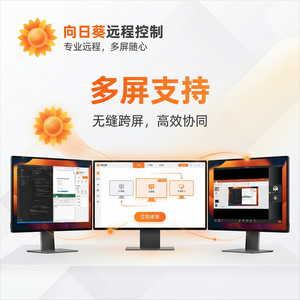 品牌 - 向日葵远程控制软件信息安全等级保护介绍